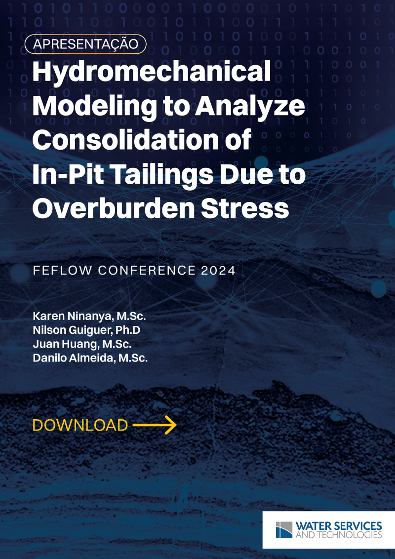 wst-feflow-conference-presentation-KN-pt
