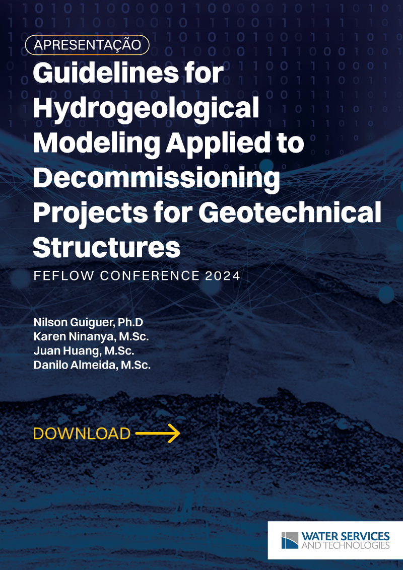 wst-feflow-conference-presentation-NG-pt (1)